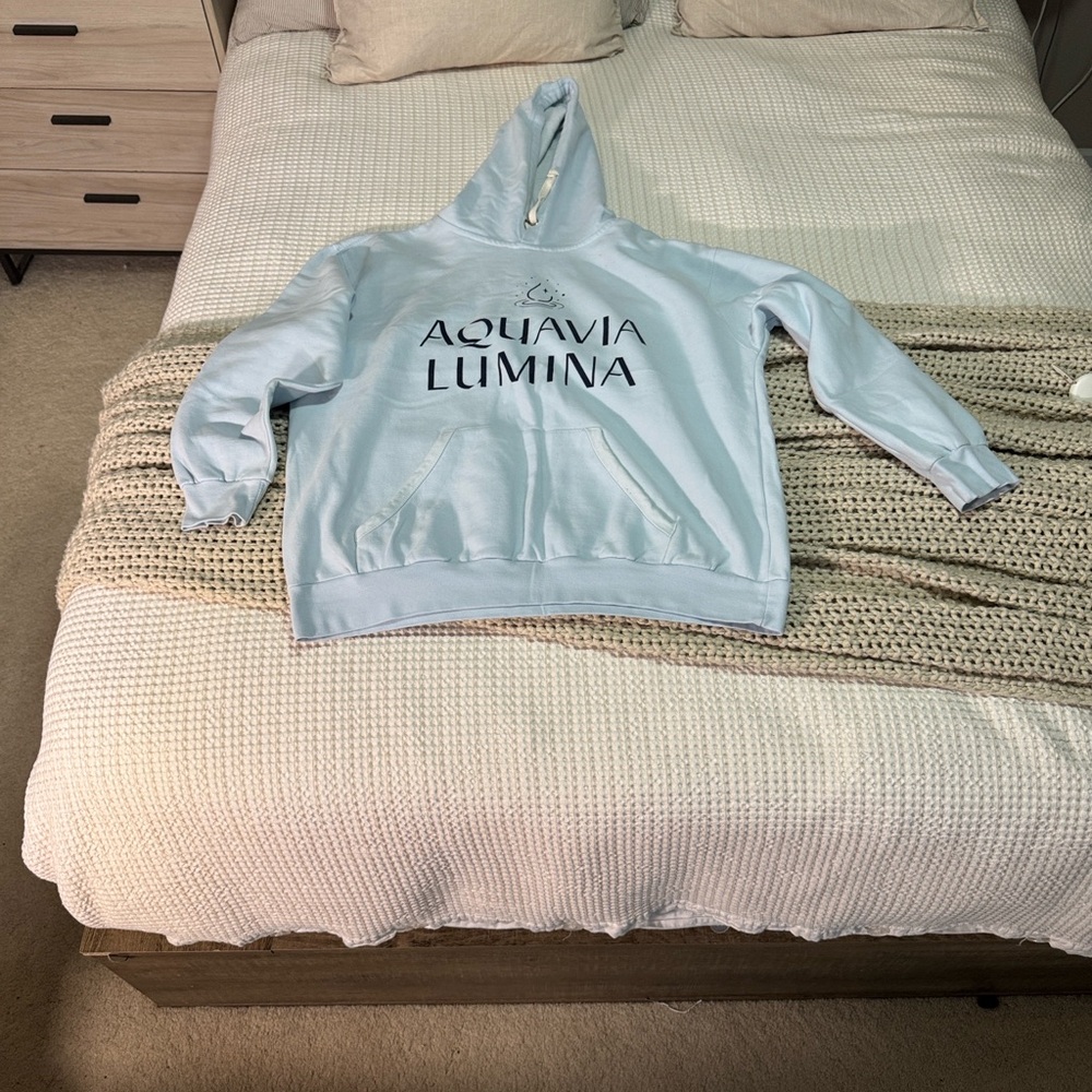 Vintage Soft Blue Hoodie
